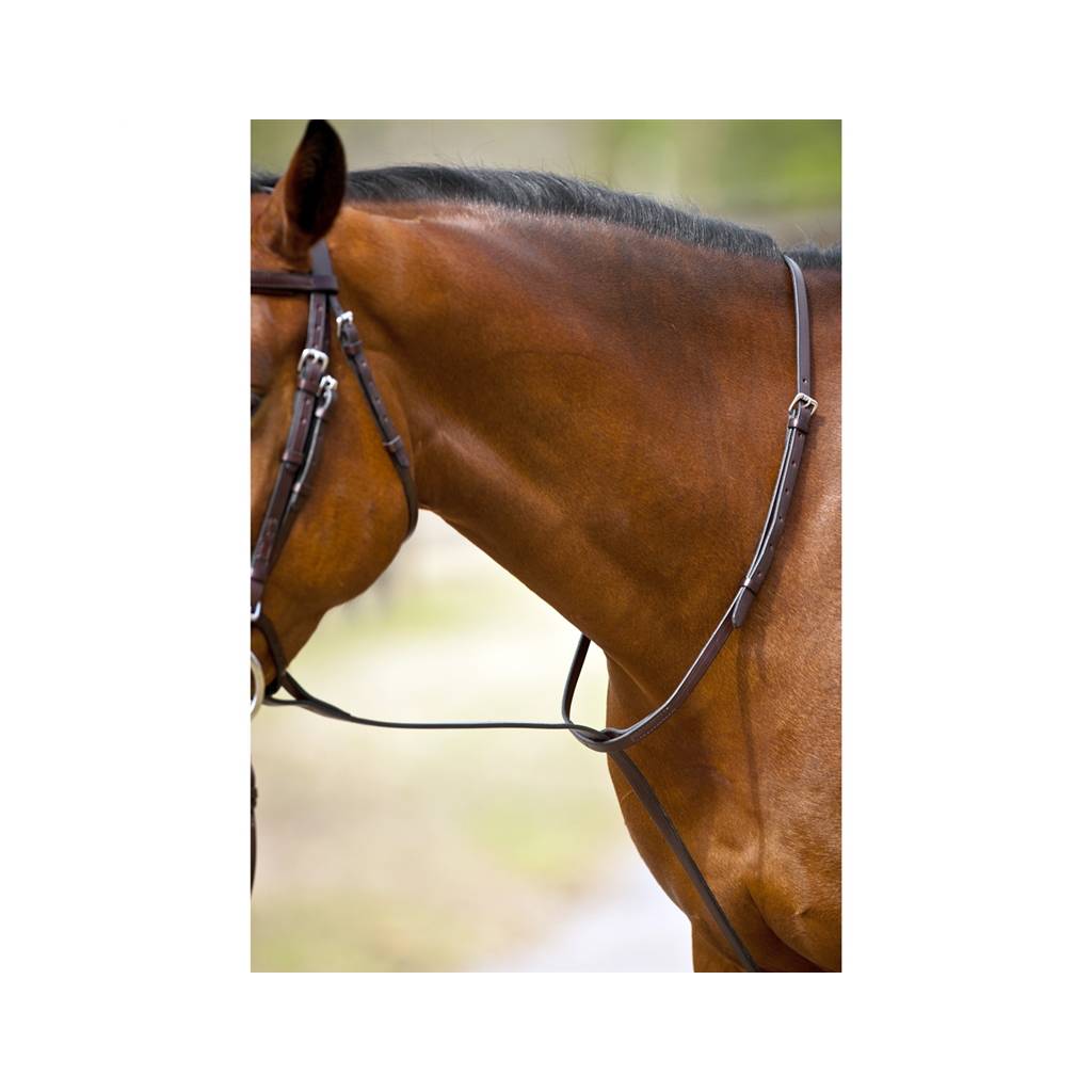 Nunn Finer Standing Martingale