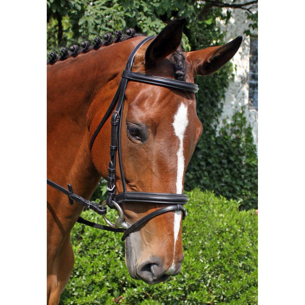 Nunn Finer Brentina Bridle