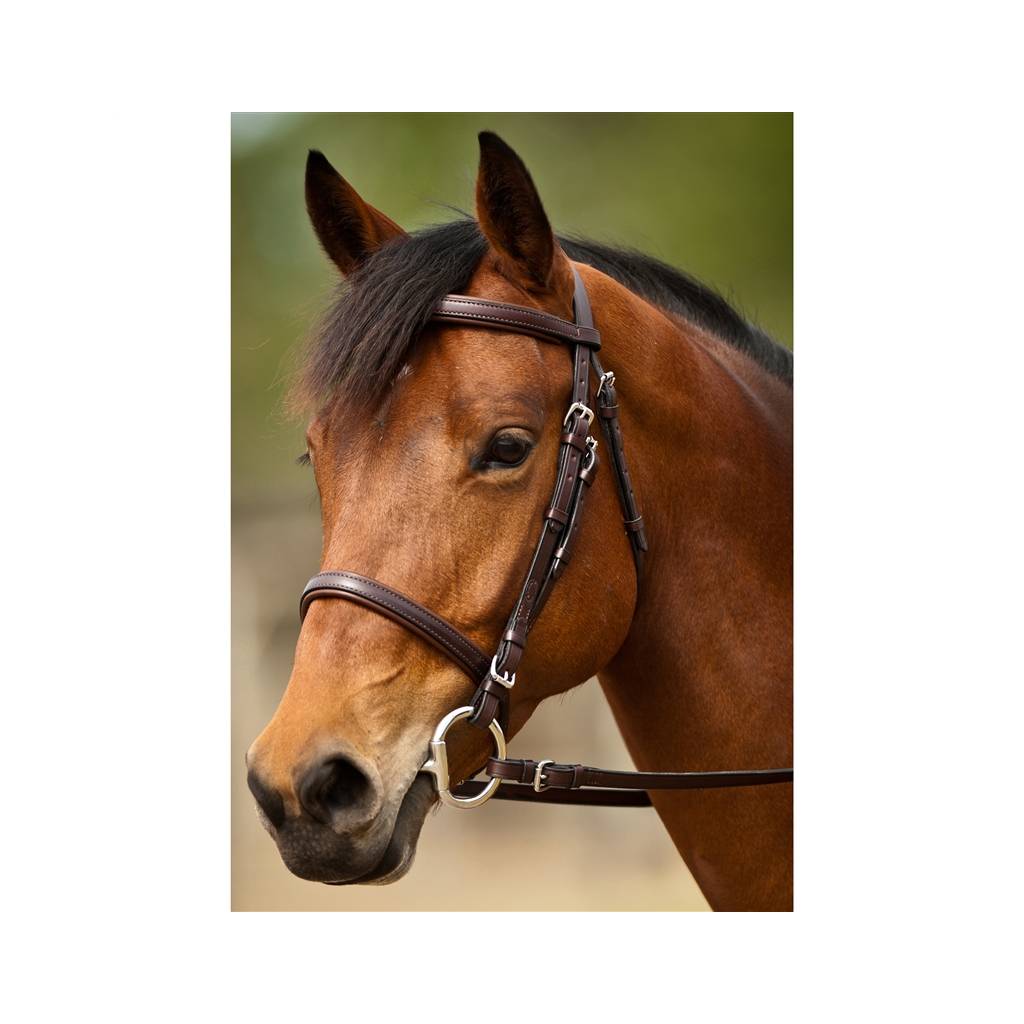 Nunn Finer Event Bridle