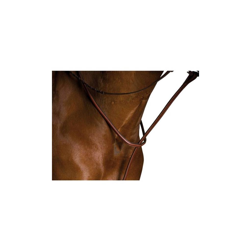 Kincade Raised Standing Martingale