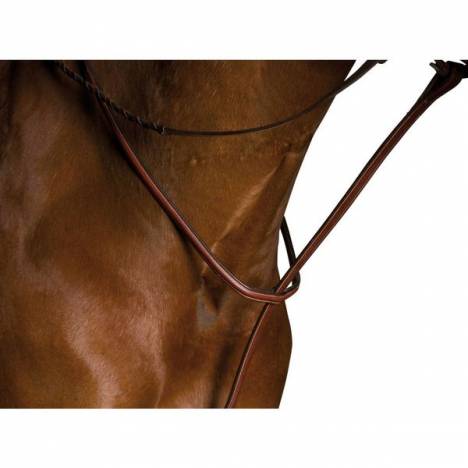 Kincade Raised Standing Martingale