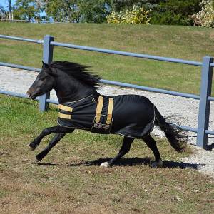 Ozark Mini/Pony Roustabout Blanket