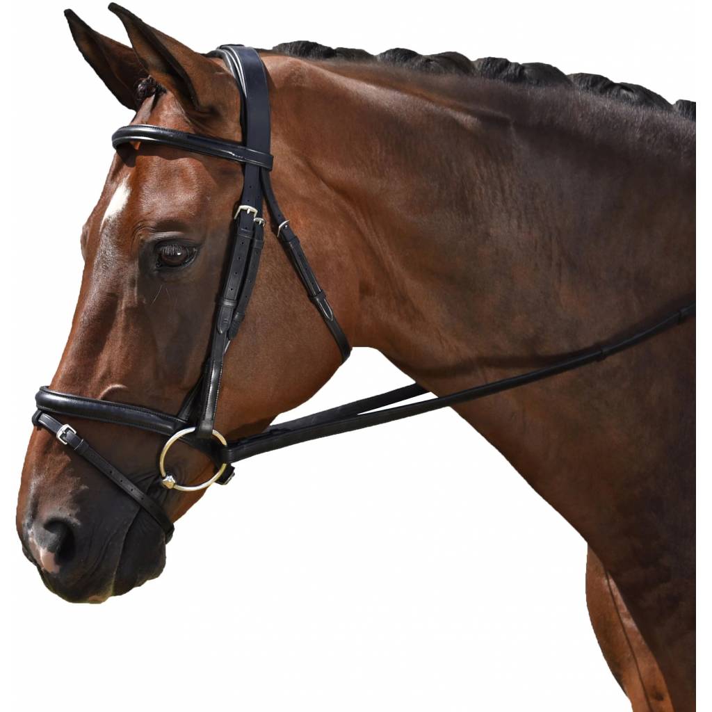 M. Toulouse Classic Dressage Bridle