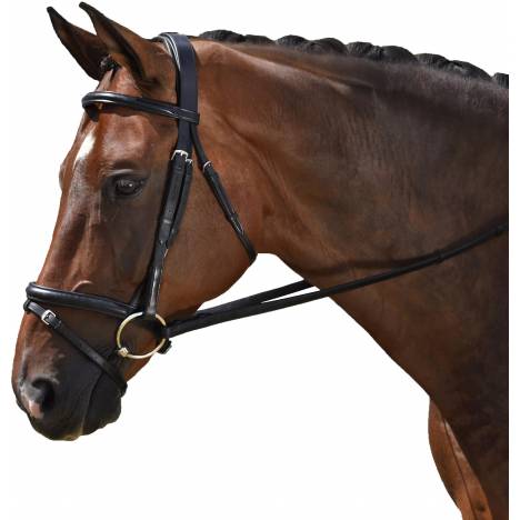 M. Toulouse Classic Dressage Bridle