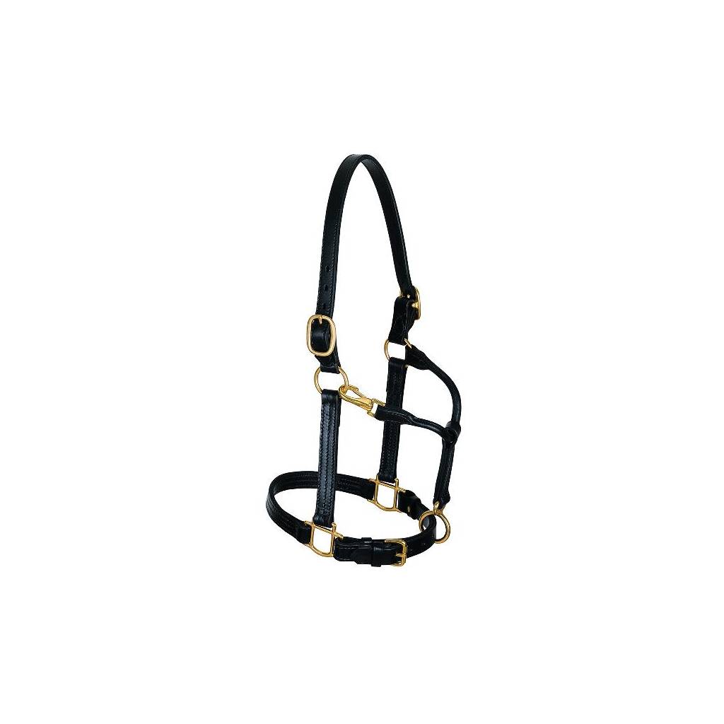 Weaver 1" Leather Track Halter