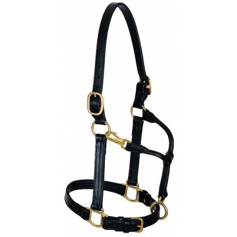 Weaver 1" Leather Track Halter