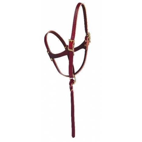 Weaver Figure 8 Foal Halter