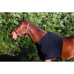 Perri's Horse Blankets, Sheets & Coolers