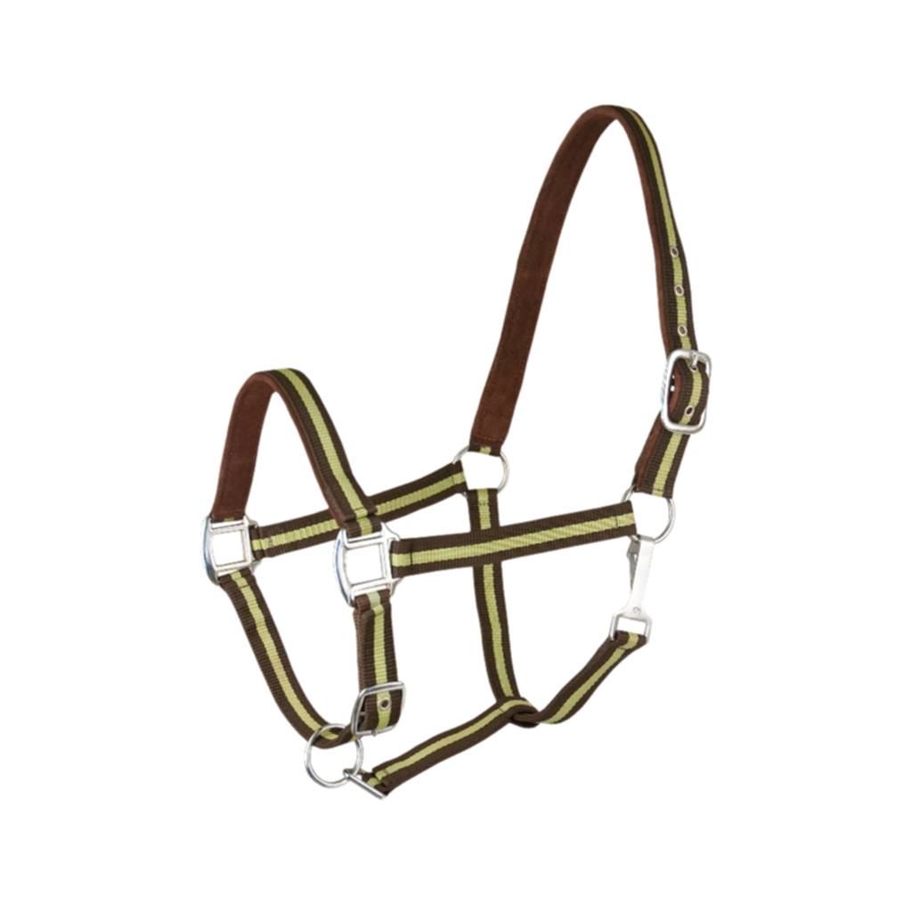 Gatsby Suede Padded Nylon Halter