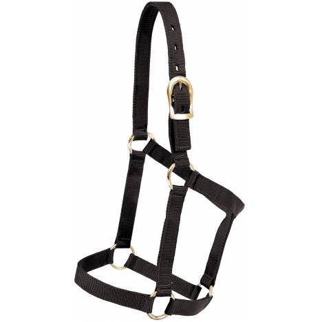 Mustang Yearling Economy Halter