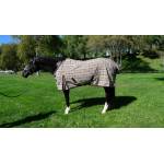 Kensington Horse Sheets