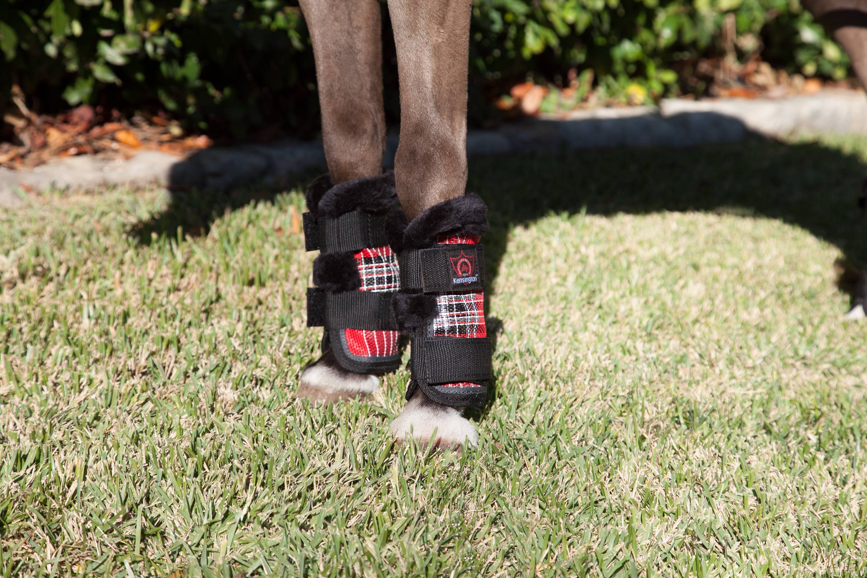 mini horse fly boots