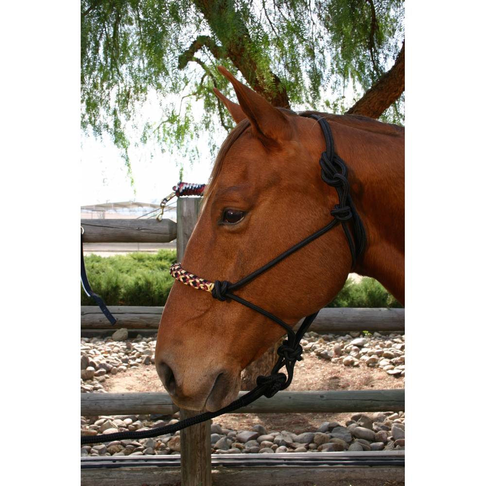 Kensington Rope Halter Set Horse Equipment EquestrianCollections