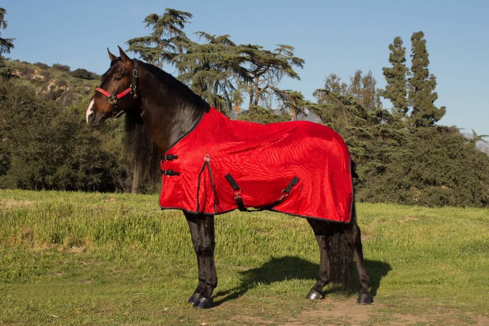 kensington european cut polymax fly sheet horse sheet size chart