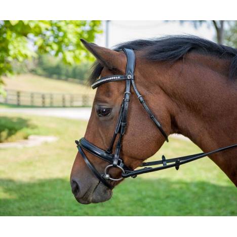 Henri de Rivel Diamonte Dressage Bridle