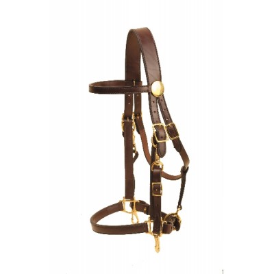 Tory Leather Heavy Duty Halter/Bridle Combo