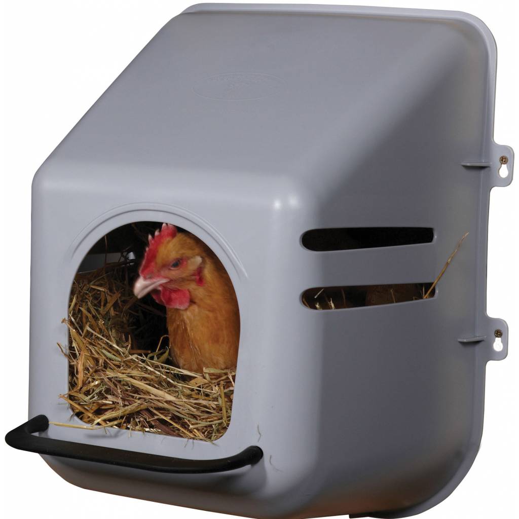 Little Giant Wall Mount Nesting Box