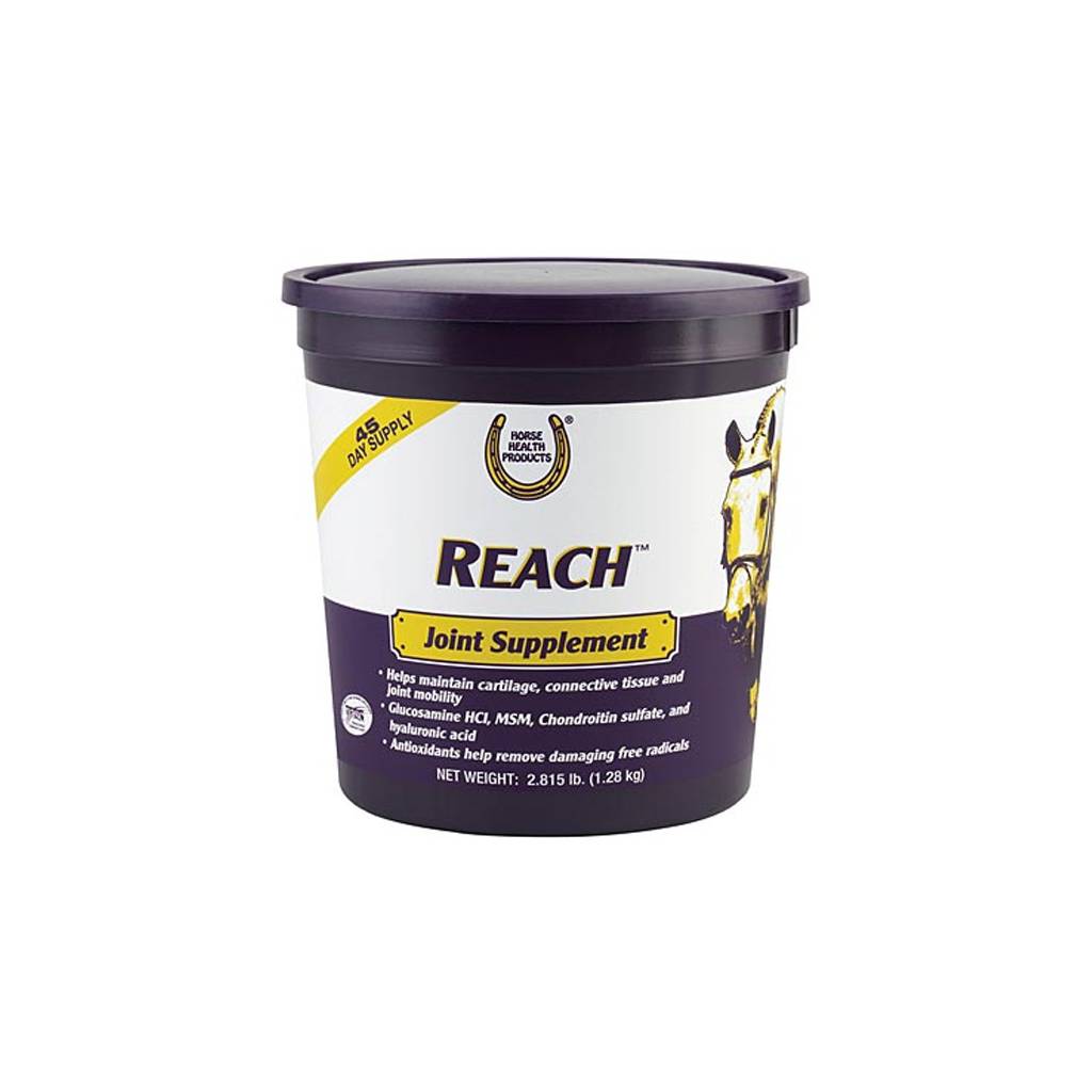 REACH JOINT SUPPLEMENT