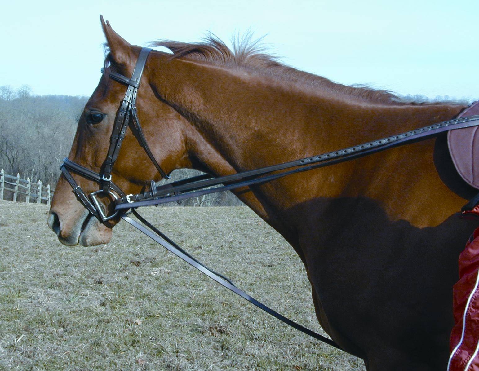 ProAm Leather Draw Reins Leather with  Snap Attachment