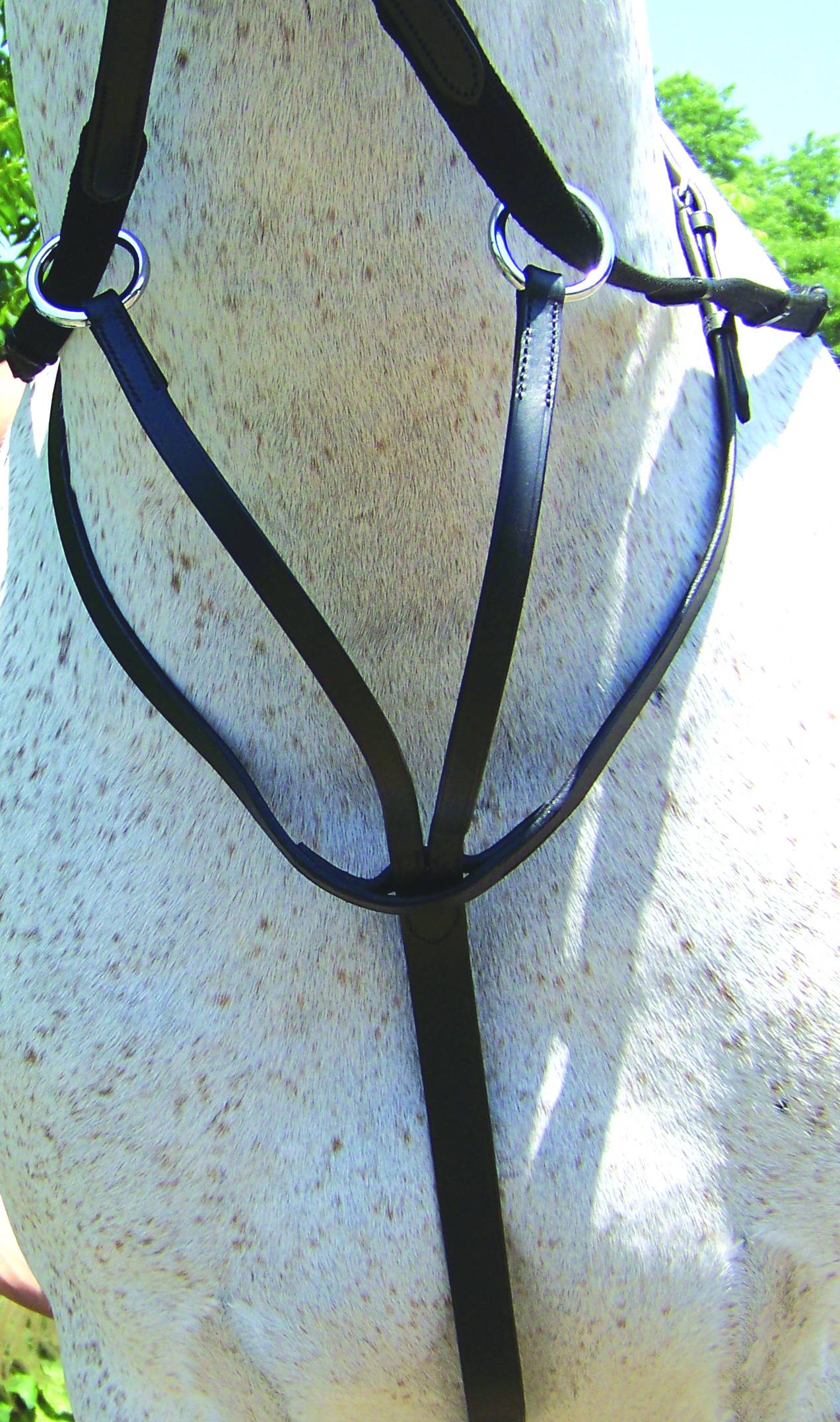 5-480826 ProAm Flat Running Martingale sku 5-480826