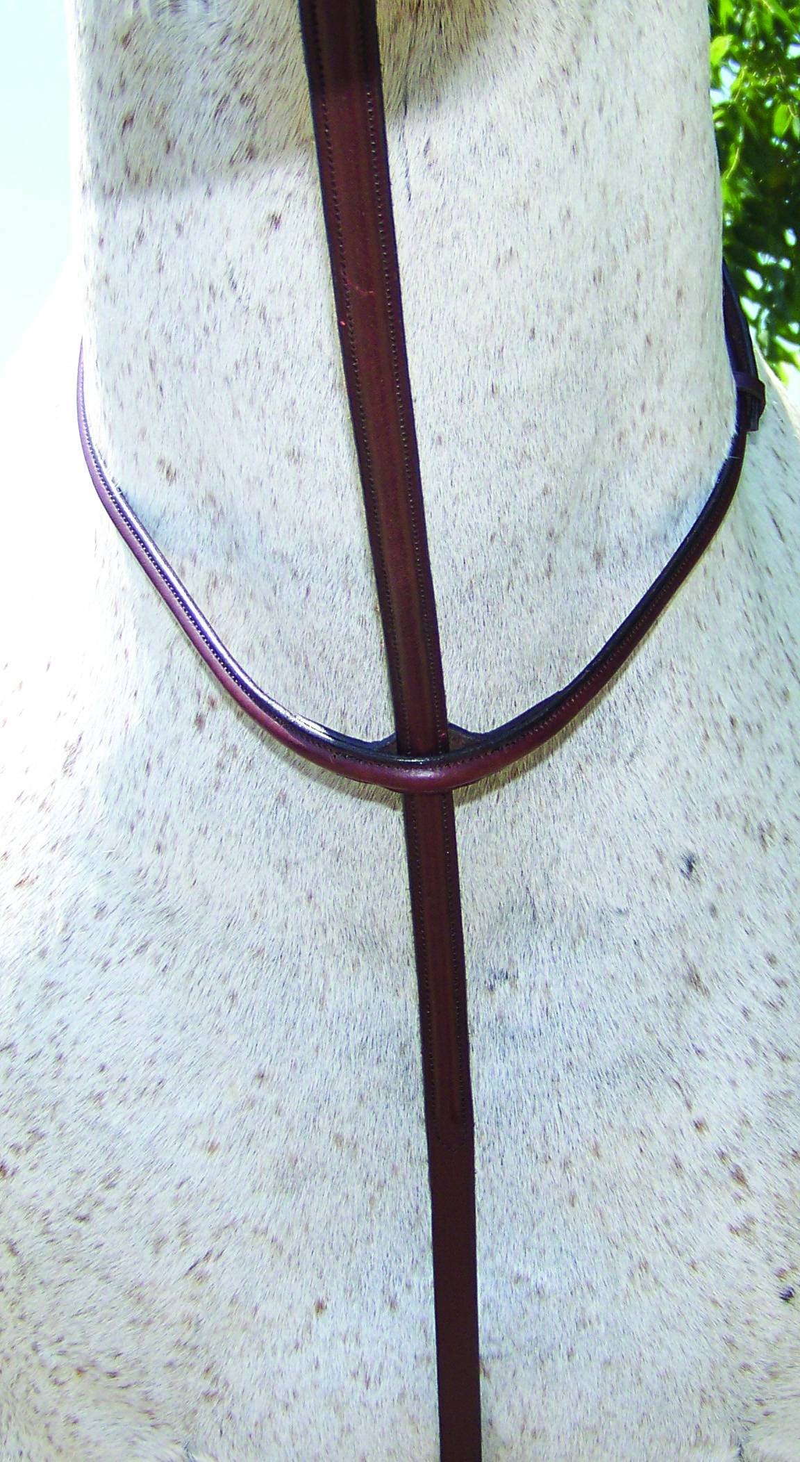 Pro-Trainer Raised Standing Martingale