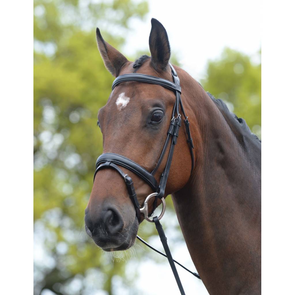 Kincade Padded Headpiece Flash Bridle