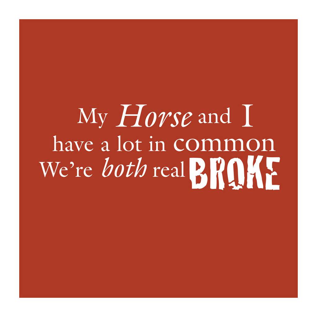 Sound Equine Ladies Tee Shirt My Horse And I Have a lot in Common