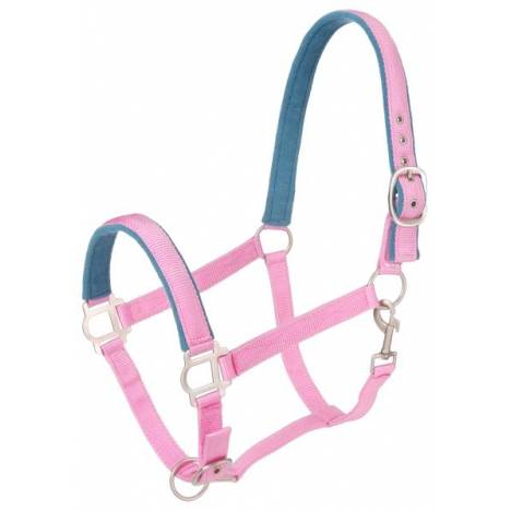 Tough-1 Nylon Padded Halter with Satin Hardware - 5 Pack