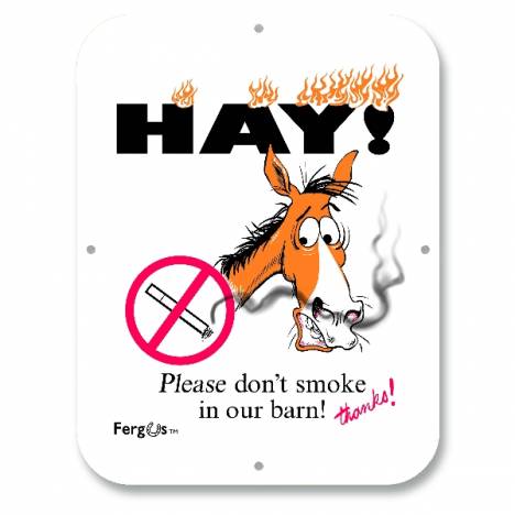 Kelley Fergus "Do Not Smoke" Sign