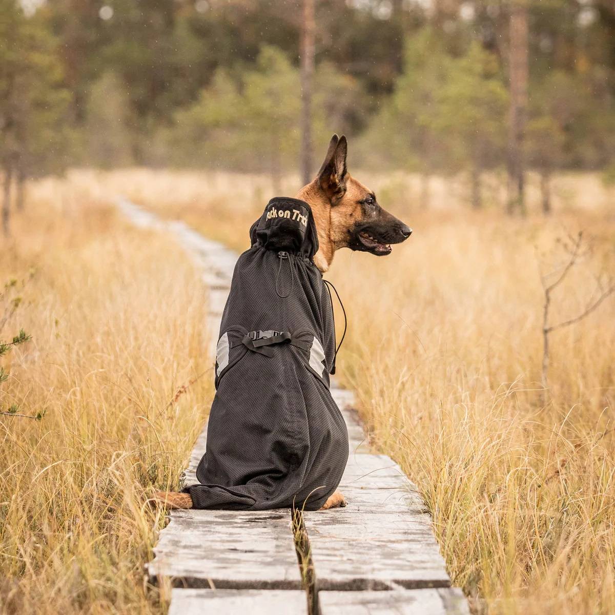 Back On Track Therapeutic Mesh Dog Blanket EquestrianCollections