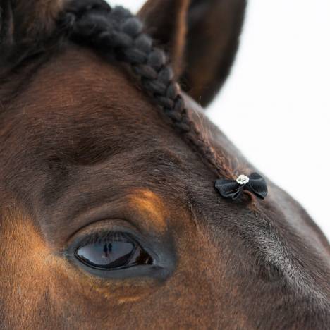 Horze Diamond-Like Show Bows for Manes