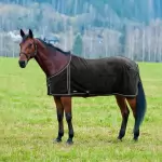 Finn Tack Horse Blankets, Sheets & Coolers