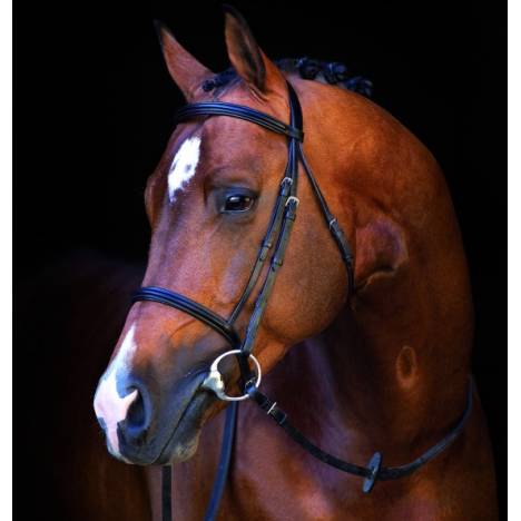 Horseware Mio Bridle