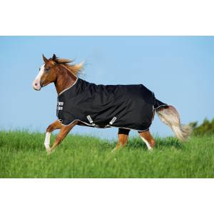 Amigo Stock Horse Medium Weight Turnout Blanket