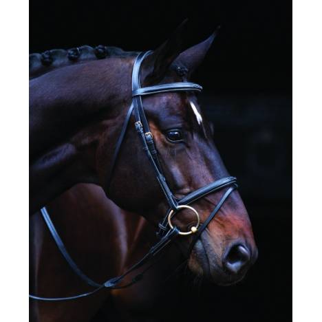 Horseware Amigo Deluxe Bridle