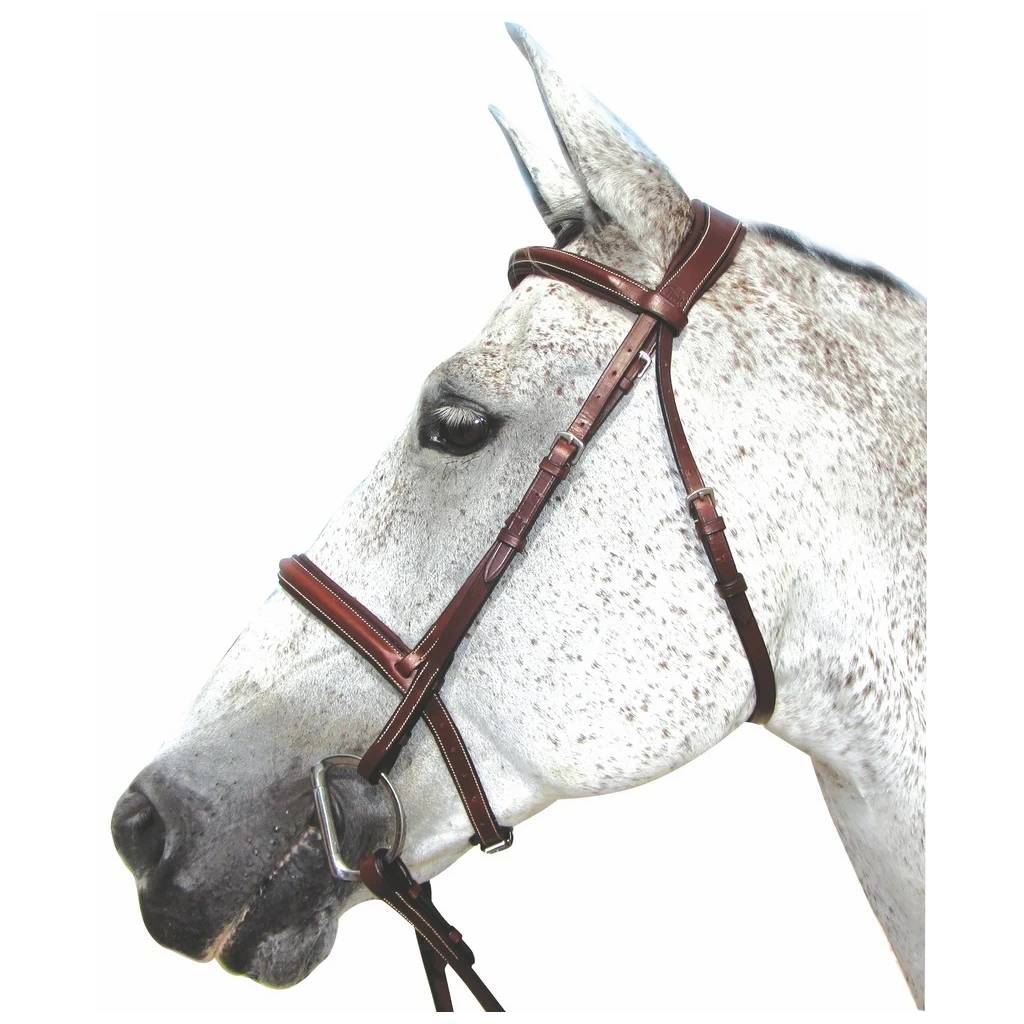 Henri de Rivel Pro Mono Crown Padded Bridle