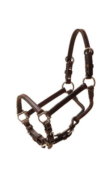 Tory Leather Weanling Show Halter - Nickel Hardware & Chain Lead