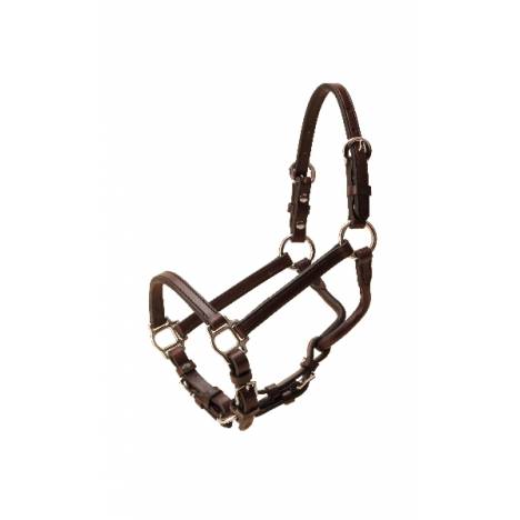 Tory Leather Weanling Show Halter - Nickel Hardware & Chain Lead