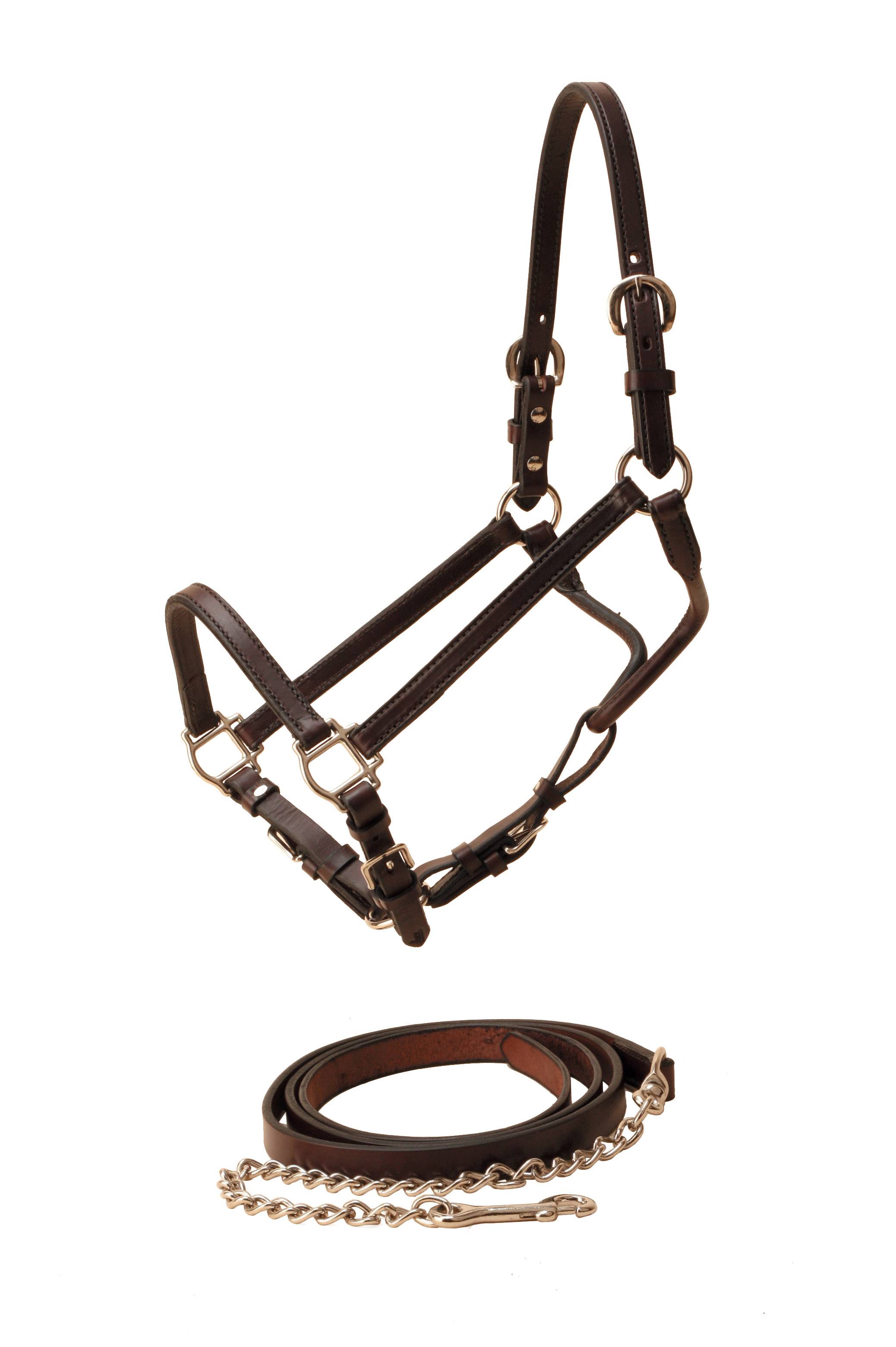 Tory Leather Show Halter & Chain Lead