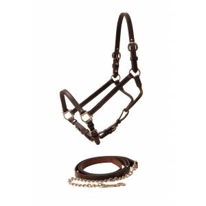 Tory Leather Show Halter & Chain Lead