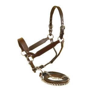 Tory Leather Congress Style Show Halter with matching Lead