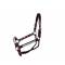 Tory Leather Oklahoma Straight Cheek Economy Show Halter