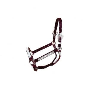 Tory Leather San Diego Berry Straight Cheek Show Halter