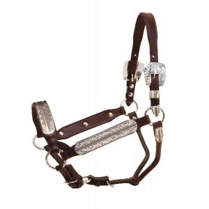 Tory Leather Morristown Congress Style Show Halter & Lead