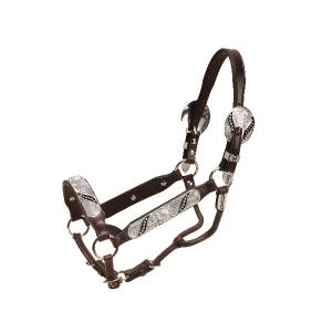 Tory Leather Silver Ribbon Congress Style Show Halter & Lead
