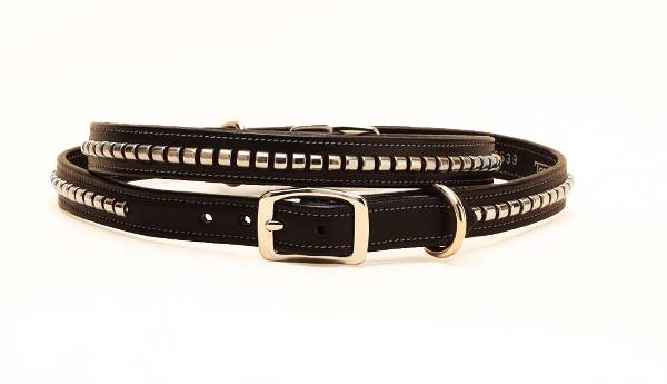 Tory hotsell dog collar