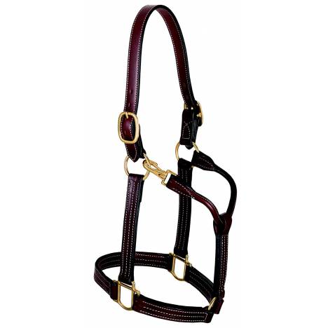 Weaver Leather 1" Thoroghbred Halter With O Snap