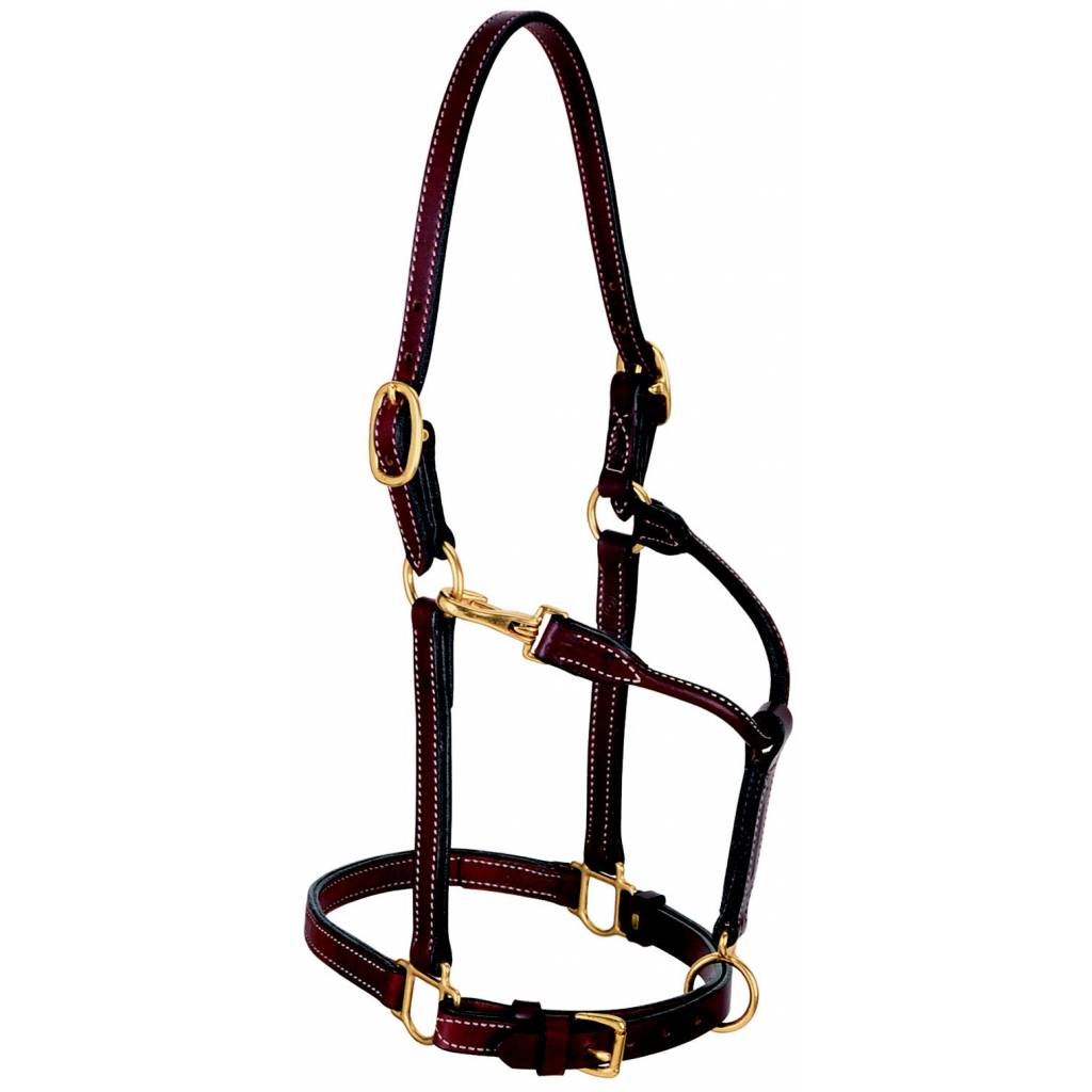 Weaver Leather 3/4" Double Buckle Crown Halter