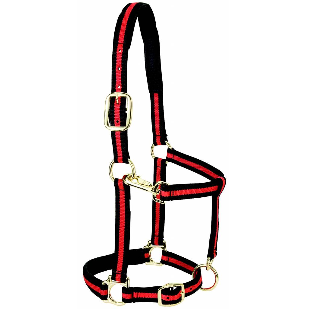 Weaver Leather Padded Adjustable Halter