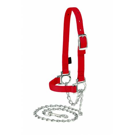 Weaver Nylon Adjustable Sheep Halter with Chain Lead